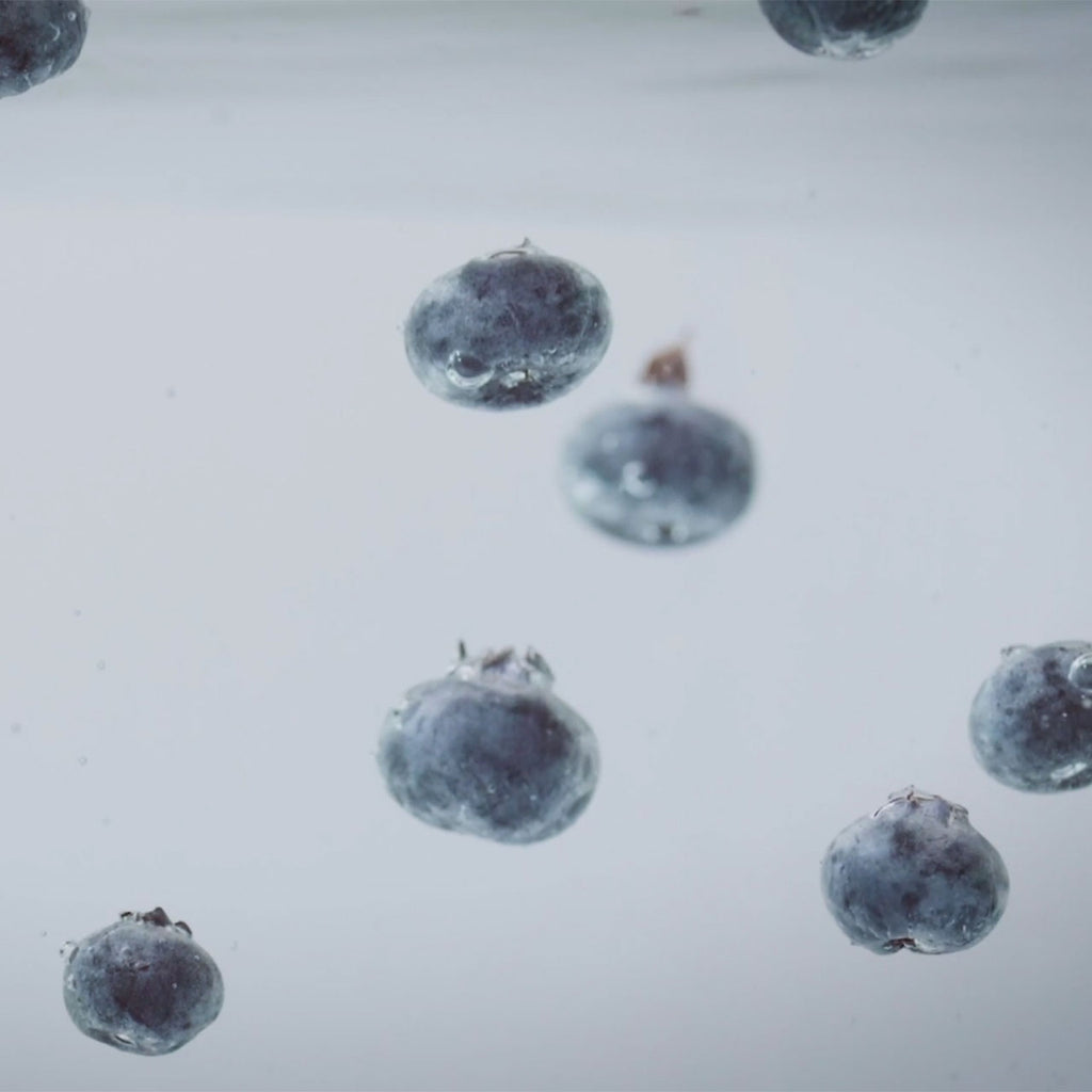 Peru La Palestina Geisha