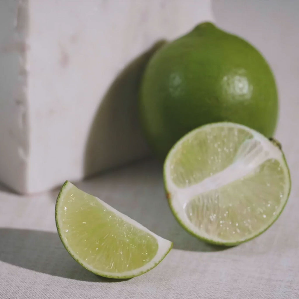 Guatemala Santa Elisa Geisha