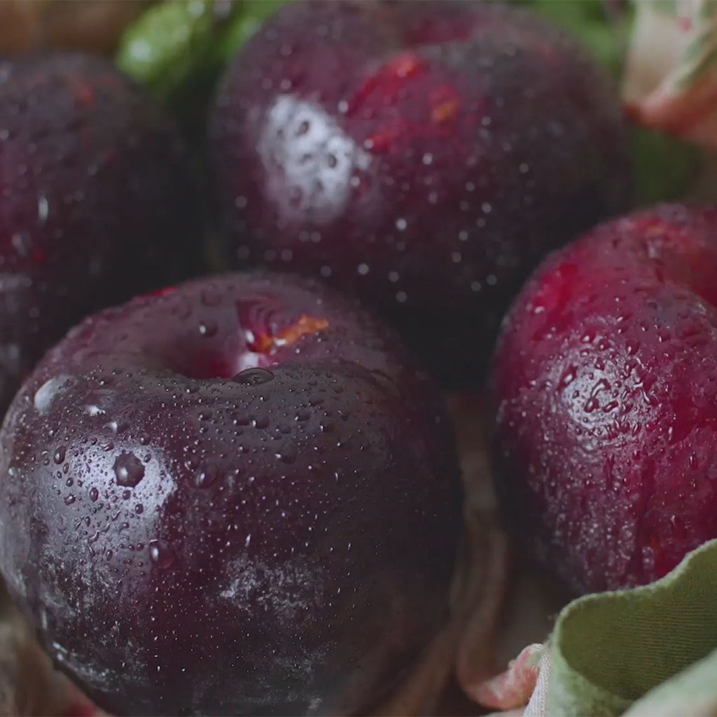 Ethiopia 1931 Gesha Mossto Anaerobic