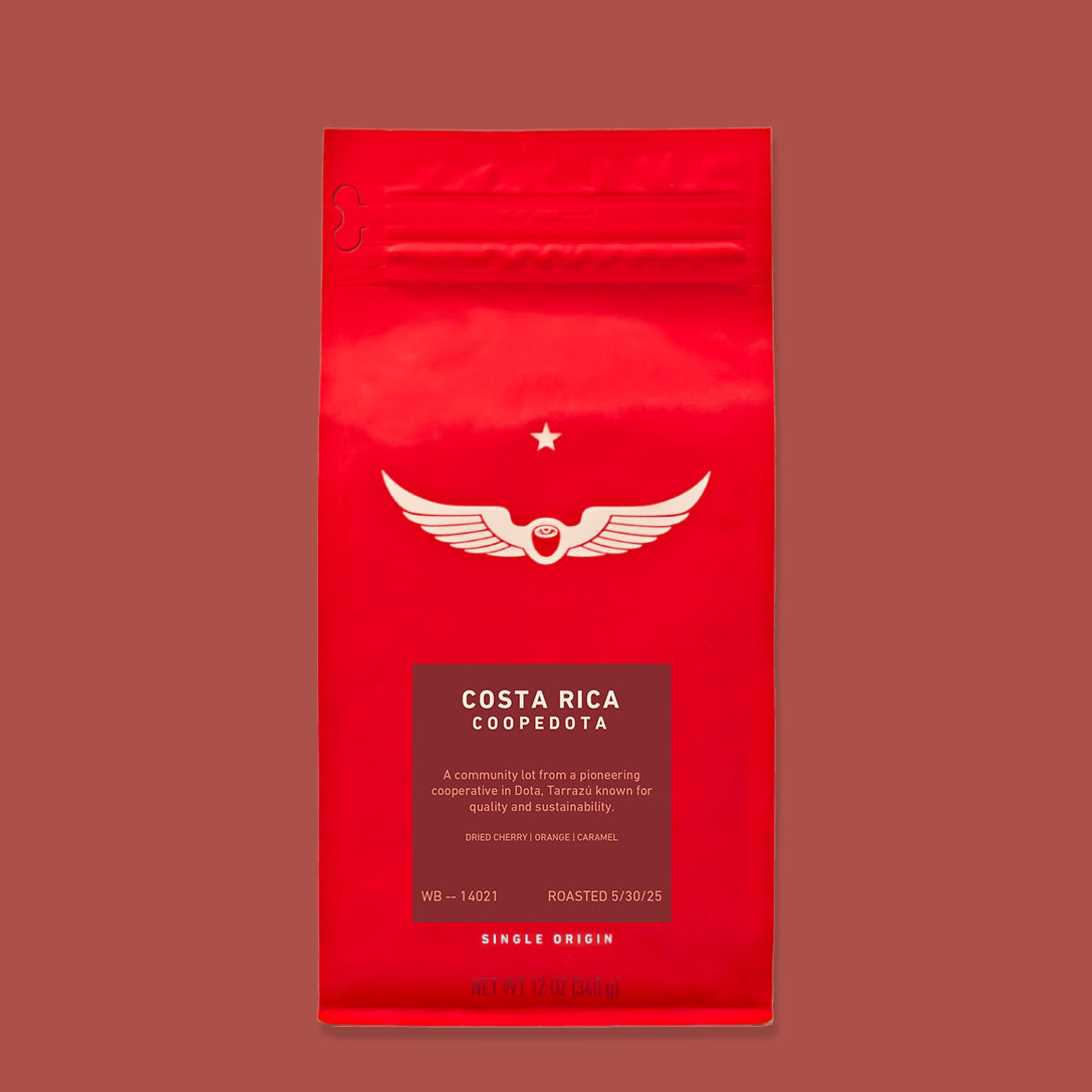 Costa Rica Coopedota | Single Origin Coffee | Intelligentsia Coffee