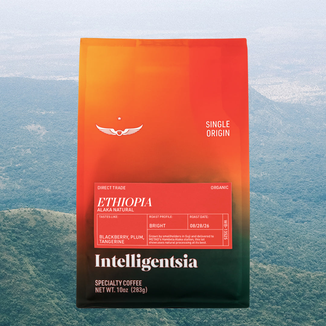 Ethiopia Alaka Natural | Single Origin | Intelligentsia Coffee