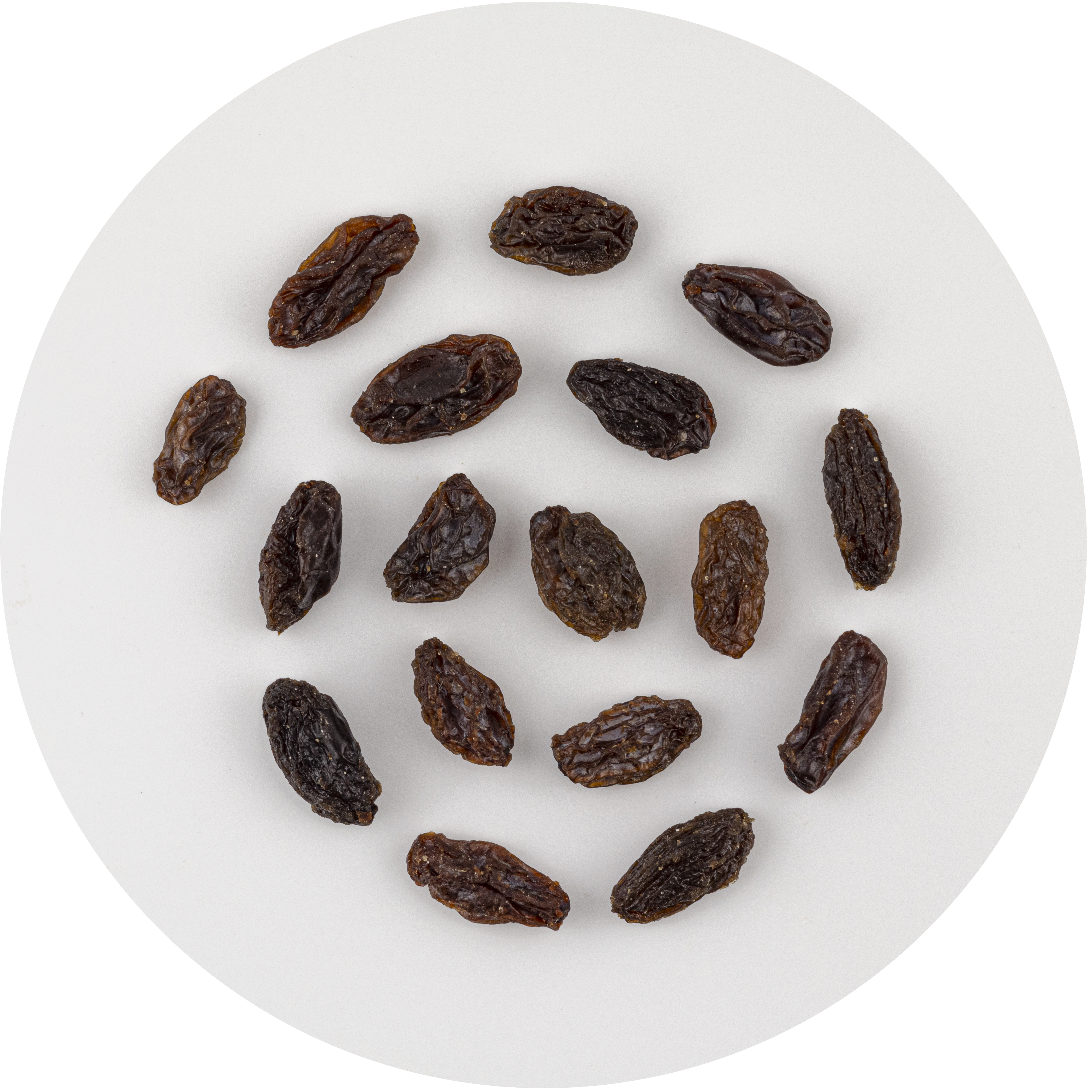 Intelligentsia Classics | Coffee Subscription | Intelligentsia Coffee