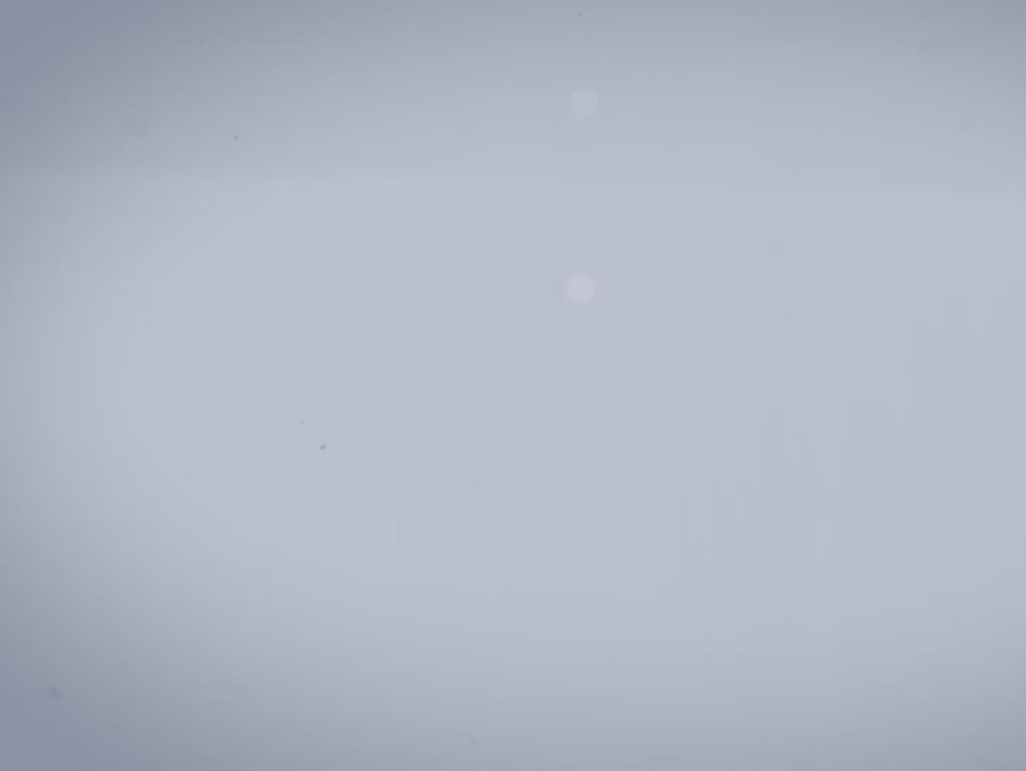 Floating Blackberry