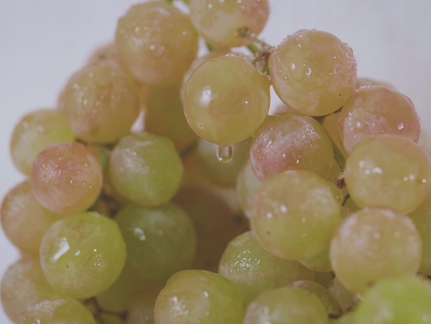Green Grape