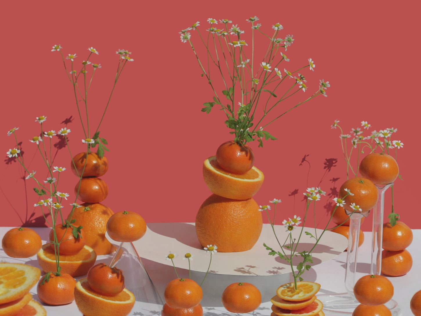 Orange Blossom
